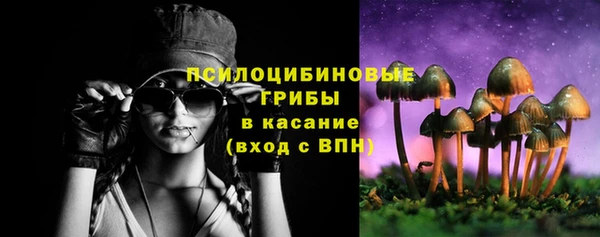 хмурый Алексеевка