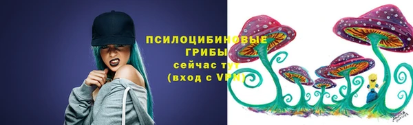 хмурый Алексеевка
