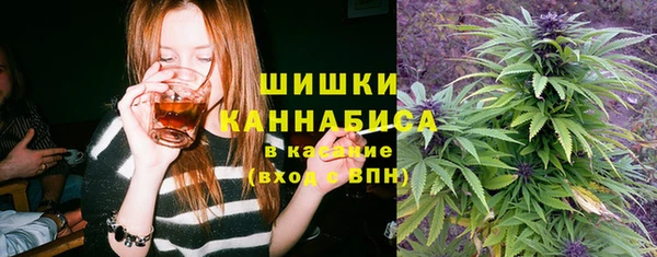 хмурый Алексеевка