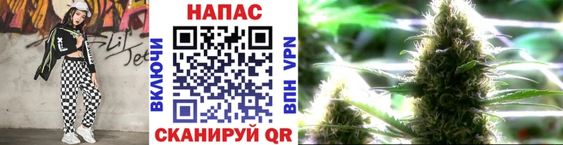 Бошки Шишки THC 21%  цена наркотик  гидра ссылка  Невьянск 